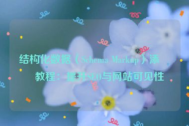 結構化數(shù)據(jù)（Schema Markup）添加教程：提升SEO與網(wǎng)站可見性
