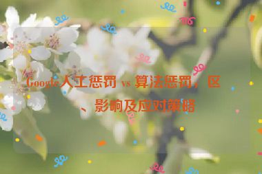 Google人工懲罰 vs 算法懲罰，區(qū)別、影響及應(yīng)對策略