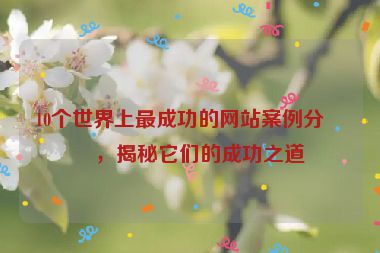 10個世界上最成功的網(wǎng)站案例分析，揭秘它們的成功之道