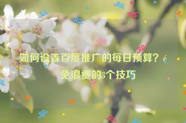 如何設(shè)置百度推廣的每日預(yù)算？避免浪費(fèi)的3個技巧