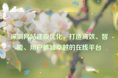 深圳網(wǎng)站建設(shè)優(yōu)化，打造高效、智能、用戶體驗卓越的在線平臺
