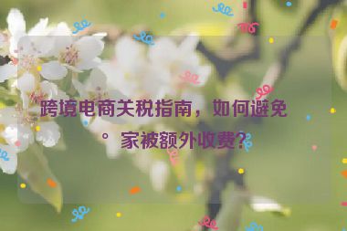 跨境電商關(guān)稅指南，如何避免買家被額外收費(fèi)？