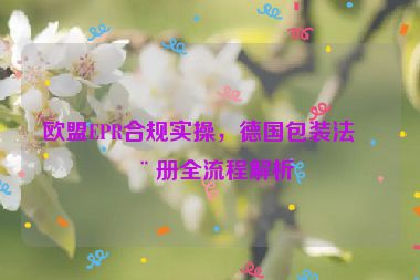 歐盟EPR合規(guī)實操，德國包裝法注冊全流程解析