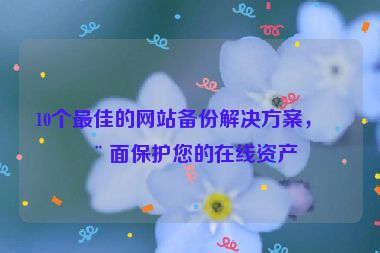10個最佳的網(wǎng)站備份解決方案，全面保護(hù)您的在線資產(chǎn)