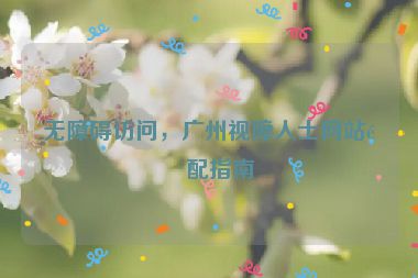無障礙訪問，廣州視障人士網(wǎng)站適配指南