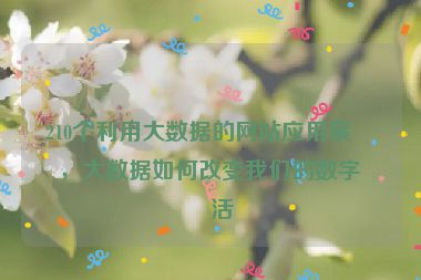 210個(gè)利用大數(shù)據(jù)的網(wǎng)站應(yīng)用案例，大數(shù)據(jù)如何改變我們的數(shù)字生活