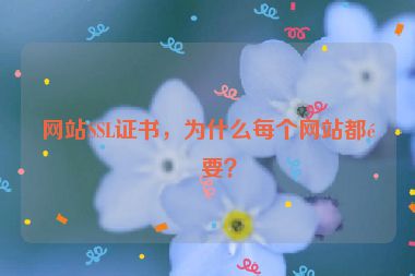 網(wǎng)站SSL證書，為什么每個(gè)網(wǎng)站都需要？