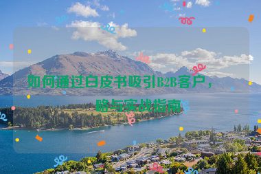 如何通過白皮書吸引B2B客戶，策略與實戰(zhàn)指南
