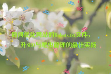 如何優(yōu)化網(wǎng)站的Robots.txt文件，提升SEO與爬蟲管理的最佳實(shí)踐