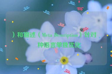 ）和描述（Meta Description）針對每種語言單獨(dú)優(yōu)化