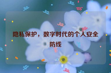 隱私保護(hù)，數(shù)字時(shí)代的個(gè)人安全防線