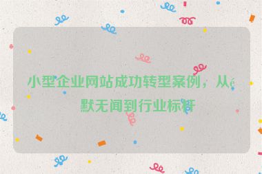 小型企業(yè)網(wǎng)站成功轉(zhuǎn)型案例，從默默無聞到行業(yè)標(biāo)桿
