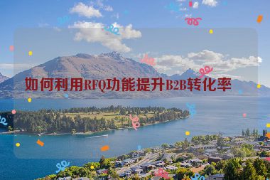如何利用RFQ功能提升B2B轉化率？