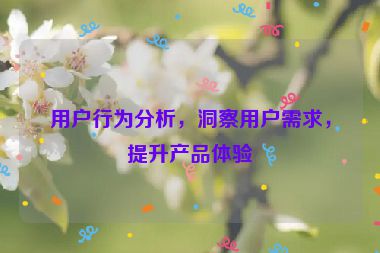 用戶行為分析，洞察用戶需求，提升產(chǎn)品體驗