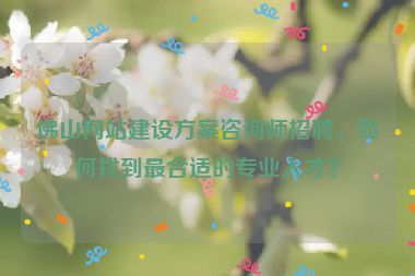 佛山網(wǎng)站建設(shè)方案咨詢師招聘，如何找到最合適的專業(yè)人才？
