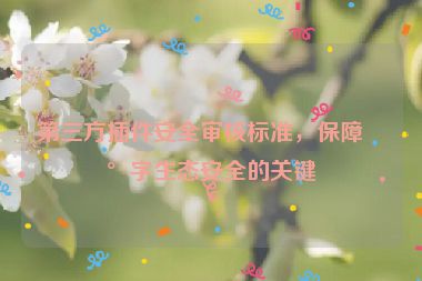 第三方插件安全審核標(biāo)準(zhǔn)，保障數(shù)字生態(tài)安全的關(guān)鍵