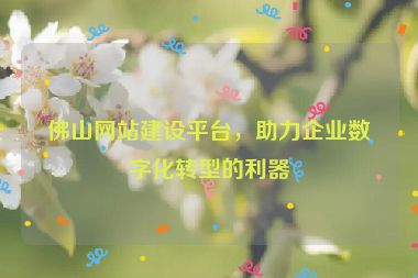 佛山網(wǎng)站建設(shè)平臺，助力企業(yè)數(shù)字化轉(zhuǎn)型的利器