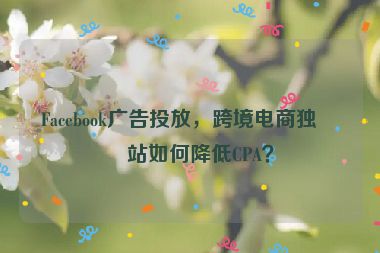 Facebook廣告投放，跨境電商獨(dú)立站如何降低CPA？