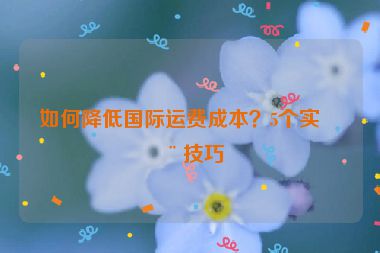 如何降低國際運(yùn)費(fèi)成本？5個實(shí)用技巧