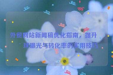 外貿(mào)網(wǎng)站新聞稿優(yōu)化指南，提升全球曝光與轉化率的實用技巧