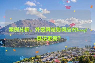 案例分析，外貿(mào)網(wǎng)站如何應(yīng)對(duì)Google算法更新？