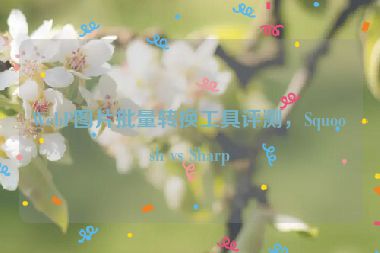 WebP圖片批量轉(zhuǎn)換工具評測，Squoosh vs Sharp