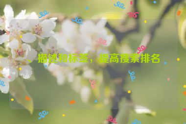 、描述和標(biāo)簽，提高搜索排名