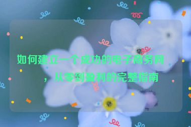如何建立一個(gè)成功的電子商務(wù)網(wǎng)站，從零到盈利的完整指南