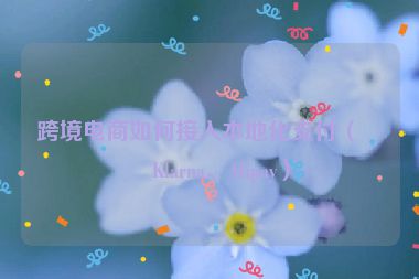 跨境電商如何接入本地化支付（如Klarna、Alipay）