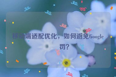 移動端適配優(yōu)化，如何避免Google懲罰？